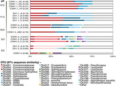 Serpentinization-Influenced Groundwater Harbors Extremely Low Diversity Microbial Communities Adapted to High pH